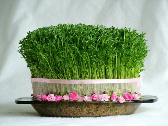 ارزش غذایی سبزه‌ی هفت‌سین