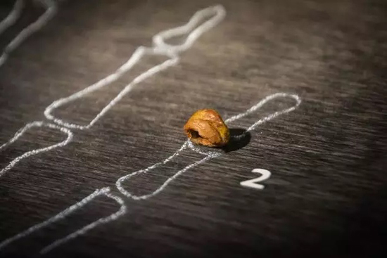 مهم‌ترین کشفیات و حقایق در دهه‌ی گذشته‌