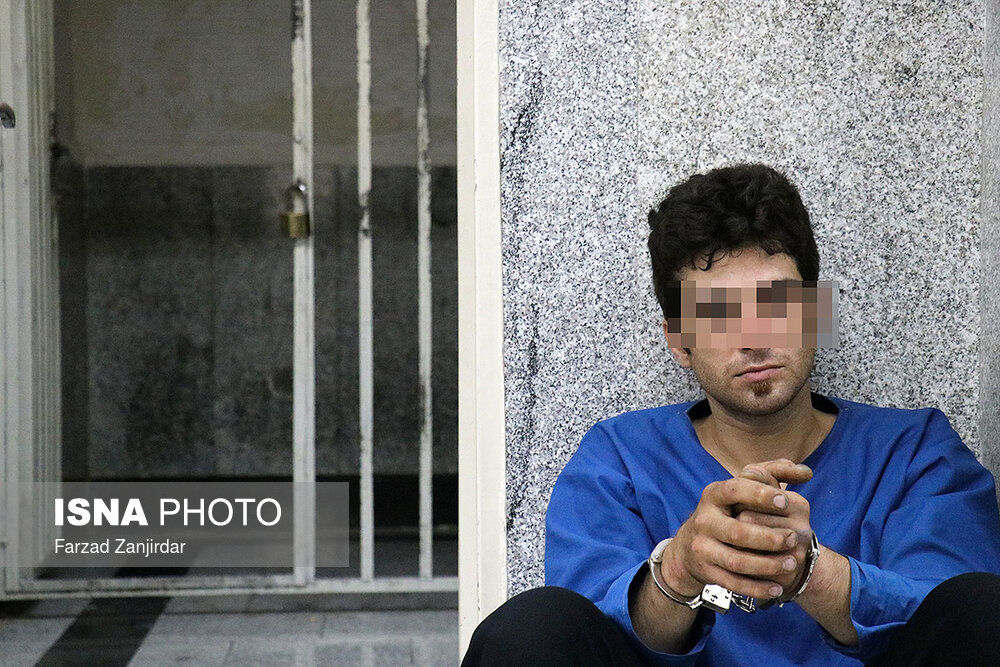 موبایل قاپ بهارستان دستگیر شد