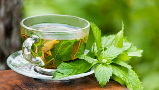 طرز تهیه‌ی دمنوش پونه؛ سرشار از خاصیت درمانی