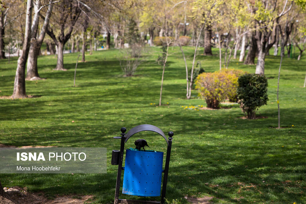 دلنوشته‌ای برای سیزده بدر کرونایی
