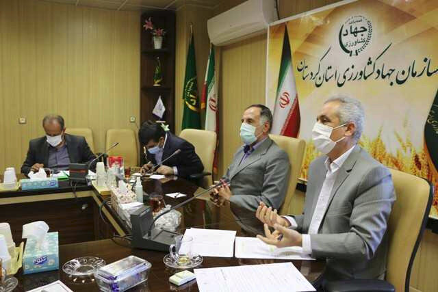 قاچاق جوجه یکروزه به صفر نزدیک شده است