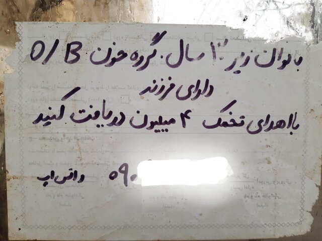 تجارت چراغ خاموش «اهدای تخمک»؛ معامله‌ای برای فروش «مادری»
