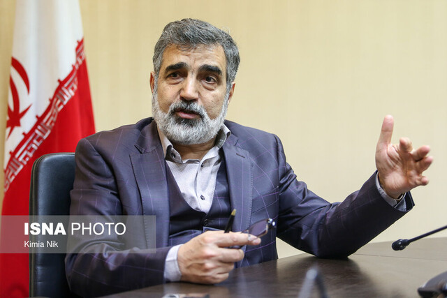 توسعه همکاری‌های هسته‌ای از مهمترین محورهای رایزنی رئیس جمهور و پوتین بود