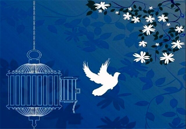 امسال ۵۲ محکوم مالی جرائم غیرعمد در یزد آزاد شدند
