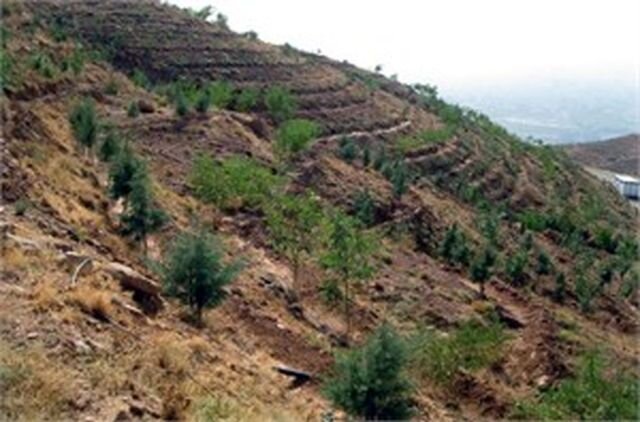 ۹۱ درصد «اراضی ملی» تهران تا پایان مهر دارای سند تک‌برگ می‌شوند