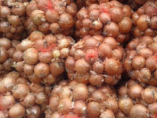 رئیس اتحادیه محصولات کشاورزی پاسخ داد 
                                صفر تا ١٠٠ افزایش قیمت پیاز و نظارتی که باید اعمال شود