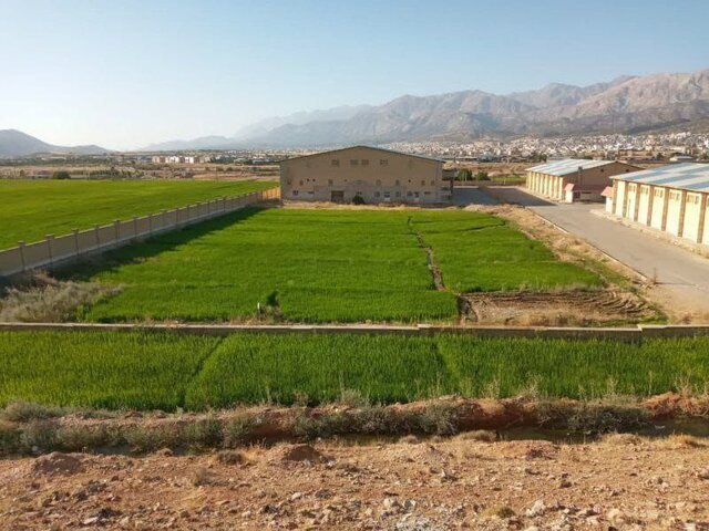 ماجرای قابل تامل یک عکس