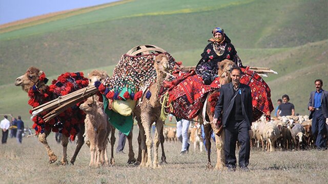 آغاز کوچ پاییزه عشایر استان تهران از نیمه دوم شهریور/برداشت ۱۸ تن گیاه دارویی در مراتع عشایری