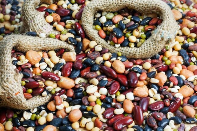 ثبات بازار حبوبات با ثبت سفارش ۳۰ هزار تنی/ کاهش فشار قیمتی در ماه‌های آتی