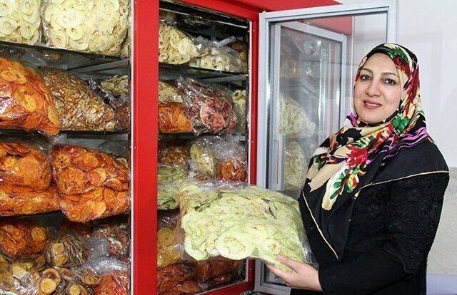 شرط دریافت وام ۴ میلیارد تومانی مشاغل خانگی