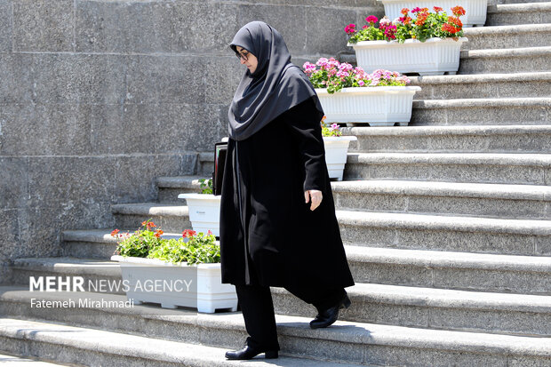 مهاجرانی:سرمایه اجتماعی با به رسمیت شناختن تفاوت‌ها و سلایق حفظ می‌شود