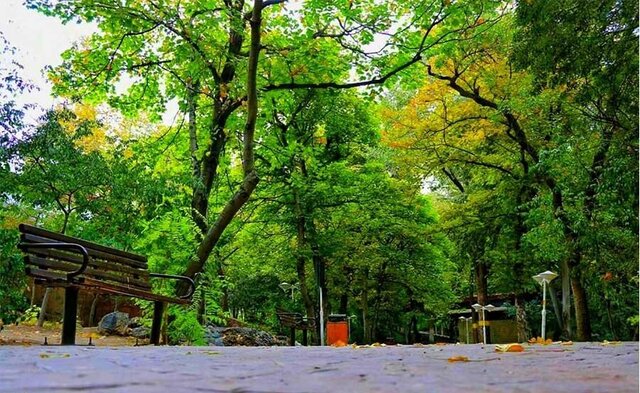 بهسازی بوستان قیطریه/ رونمایی از ماشین‌های برگ‌روبی شهرداری تهران